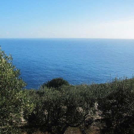 Foresta Forte - Ciolo By Lovesud Gagliano del Capo Esterno foto